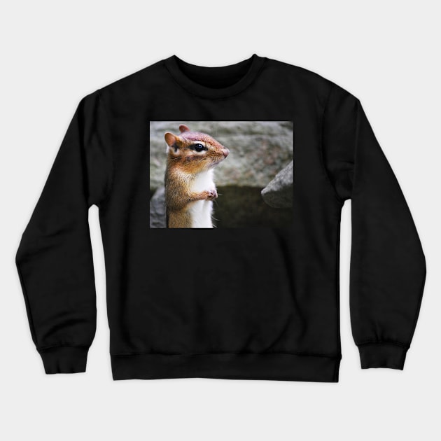 "Oh, Dear!...." Crewneck Sweatshirt by LaurieMinor